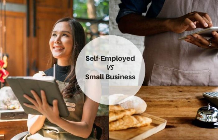 Self-Employed VS Small Business